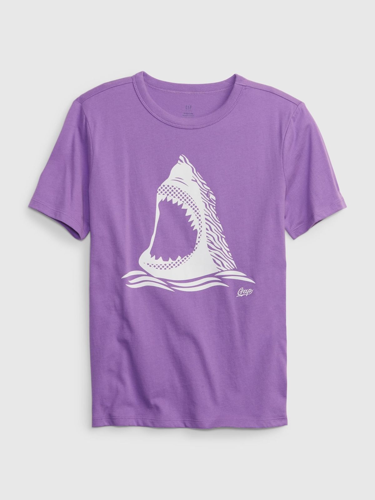 Kids Organic Cotton Graphic T-Shirt-593625004