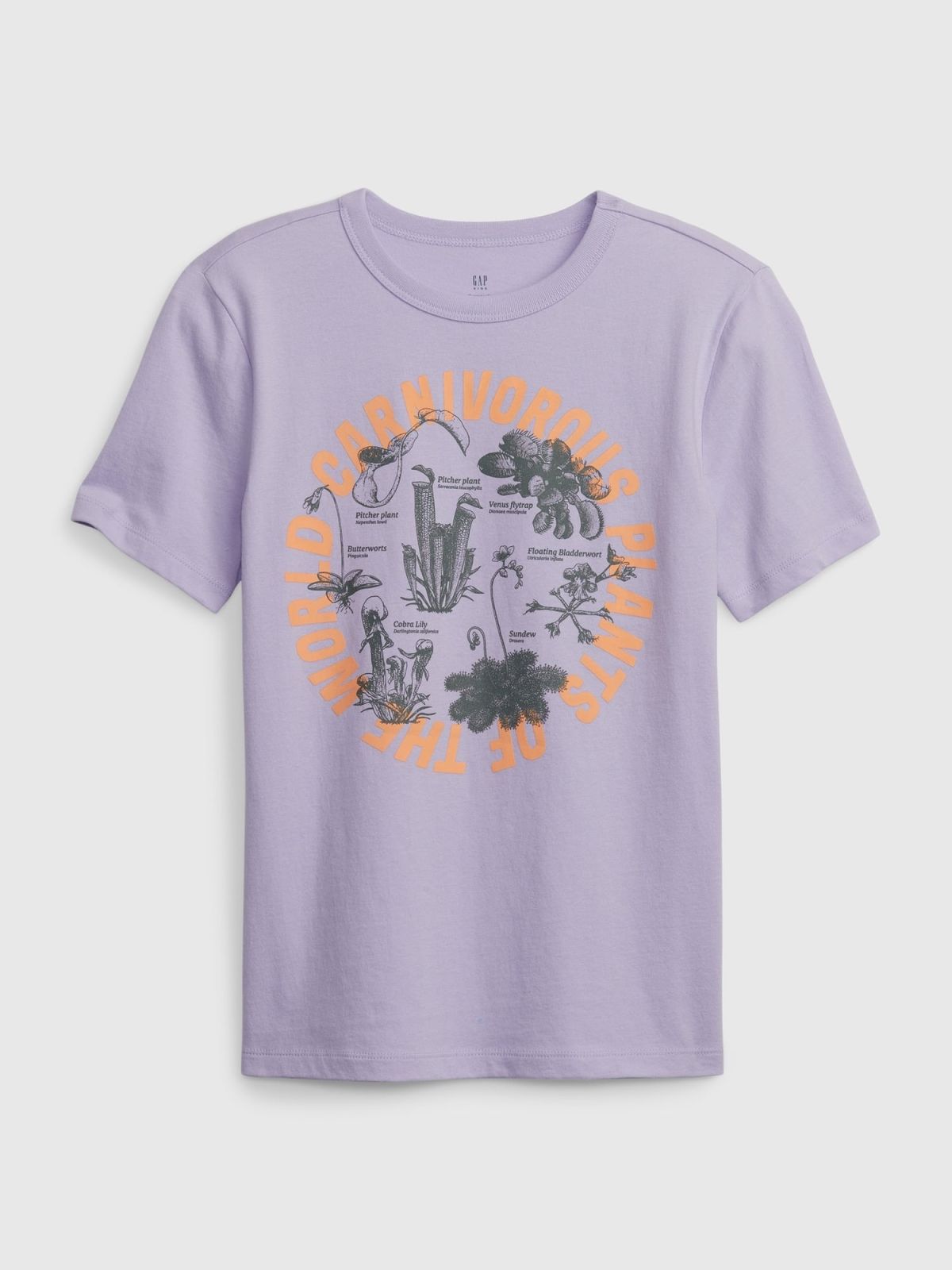 Kids Organic Cotton Graphic T-Shirt-593621002