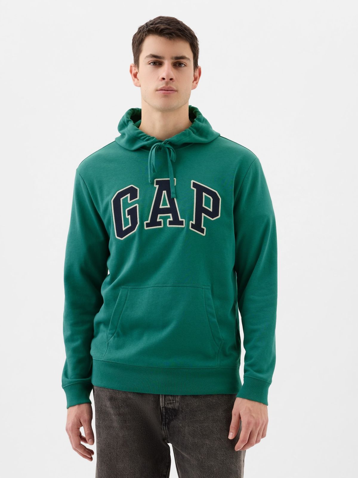 Gap Logo Hoodie-868460000
