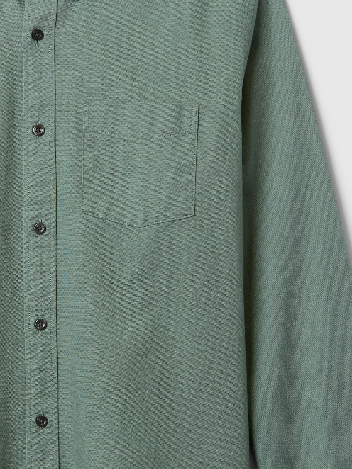 Πράσινο Oxford Πουκάμισο σε Standard Fit-619568016